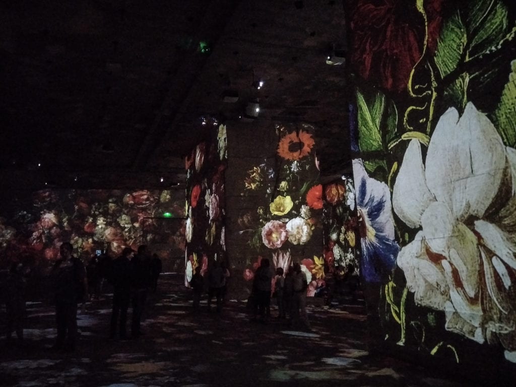 Carrieres de Lumieres, French limestone quarry