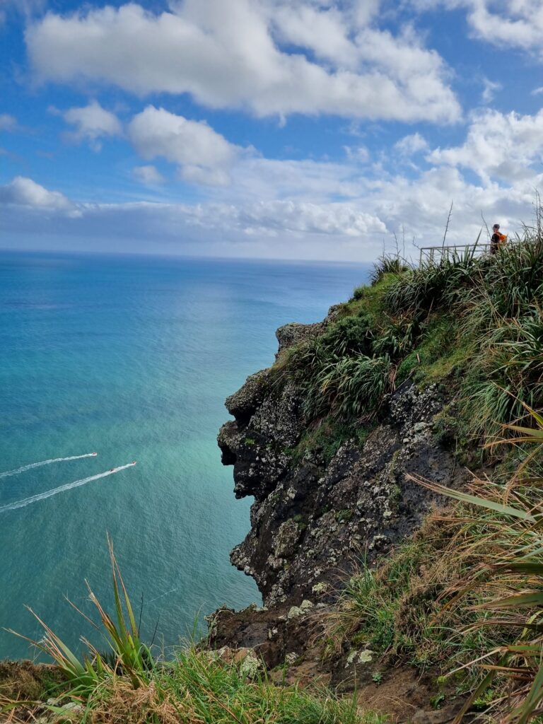 Hiking Mercer Bay Loop, Auckland