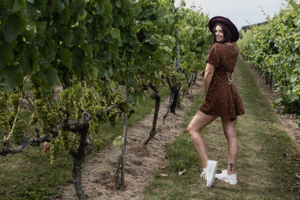 21 Fun Things to do in Auckland City 10 Fun things to do in Auckland: Tantalus Estate vineyard