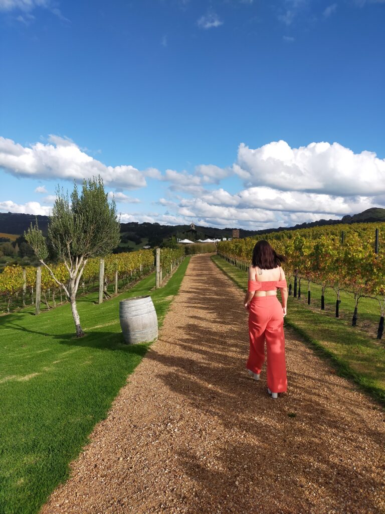 Wine tasting on Waiheke Island, Tantalus Estate winerie