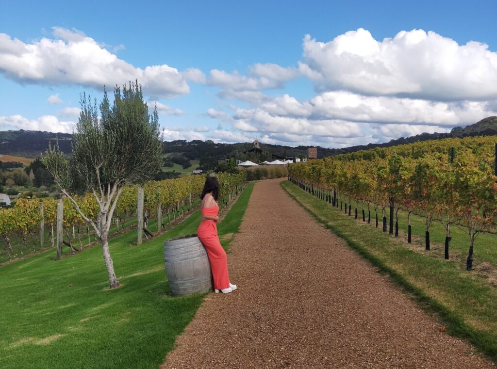 Accommodation on Waiheke Island, Tantalus Estate Winery