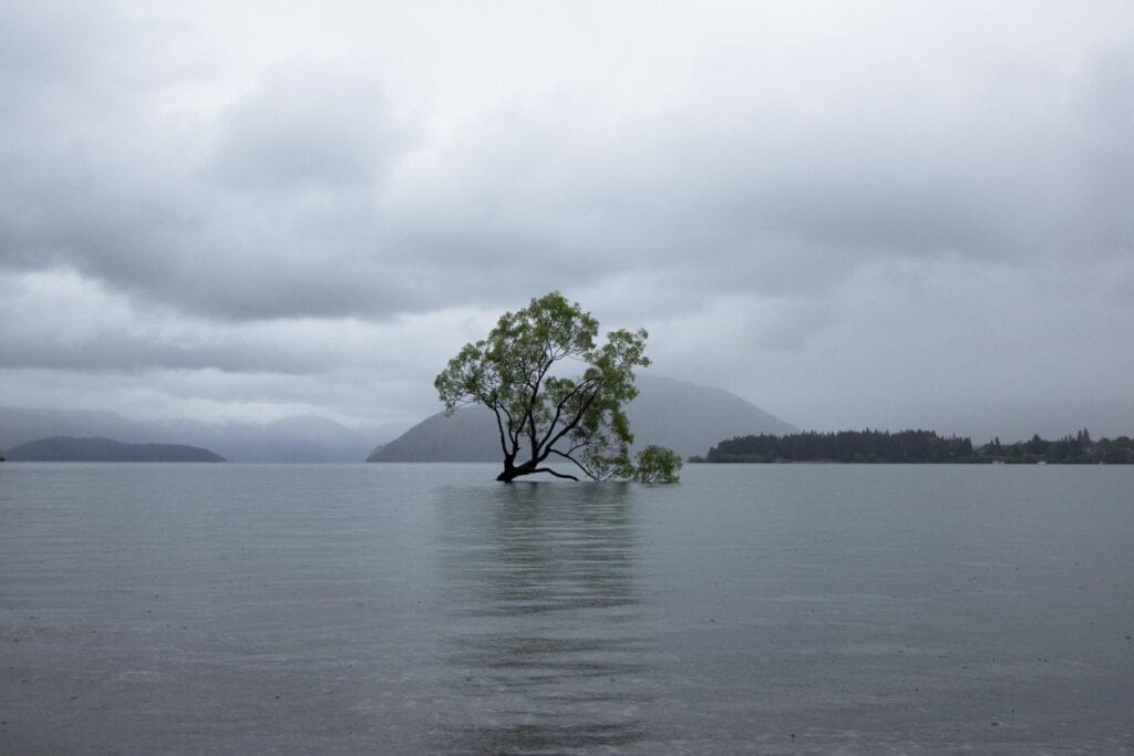 LoveYaGuts Travel The Best Day Hikes in New Zealand