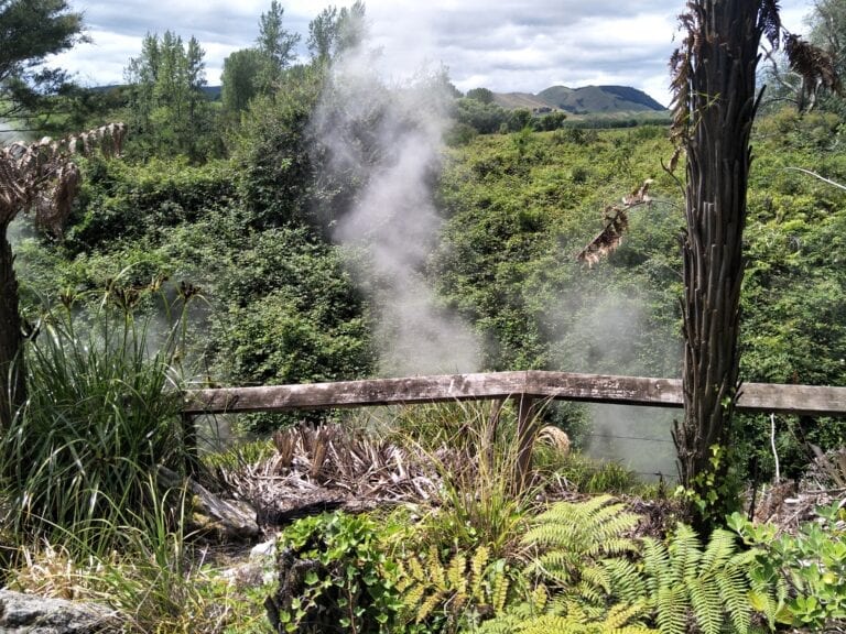 Steam in Rotorua