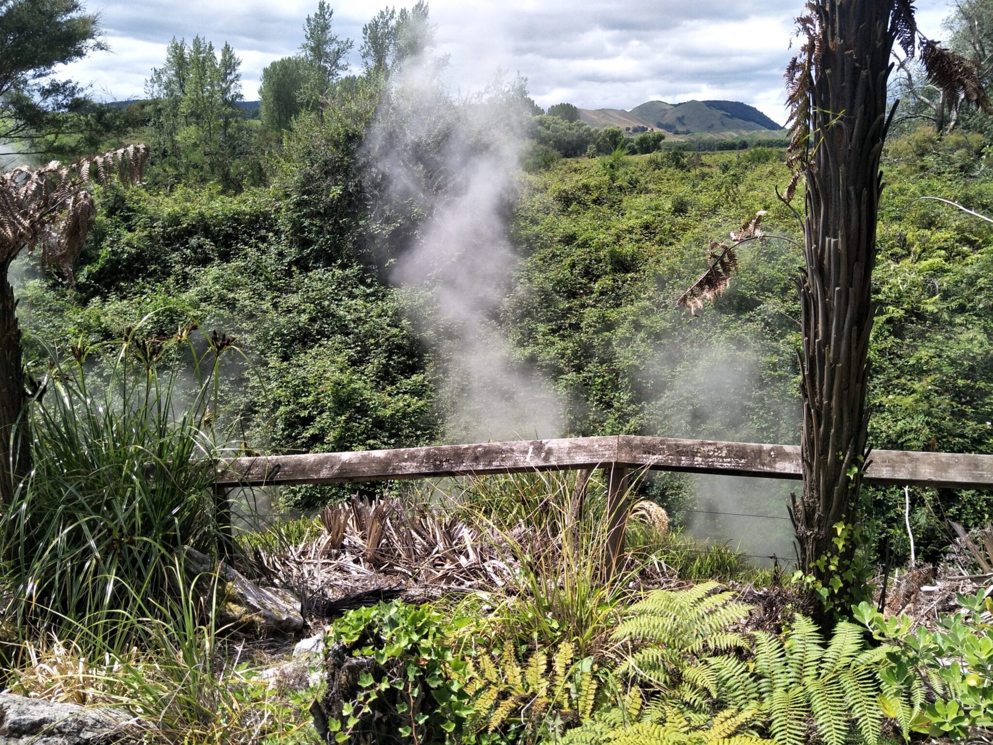Steam in Rotorua