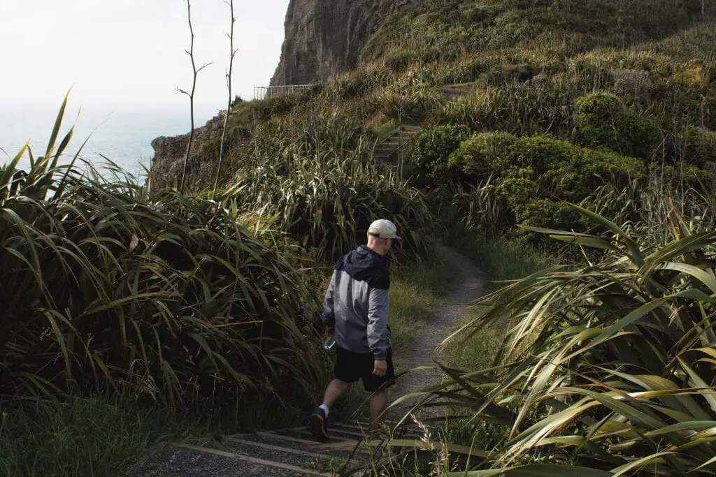 Best West Auckland Walks: Hiking Mercer Bay Loop