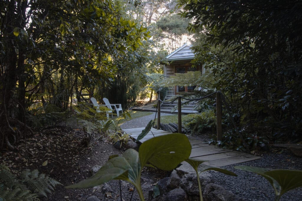 Coromandel Accommodation - A cabin at Hush Coromandel