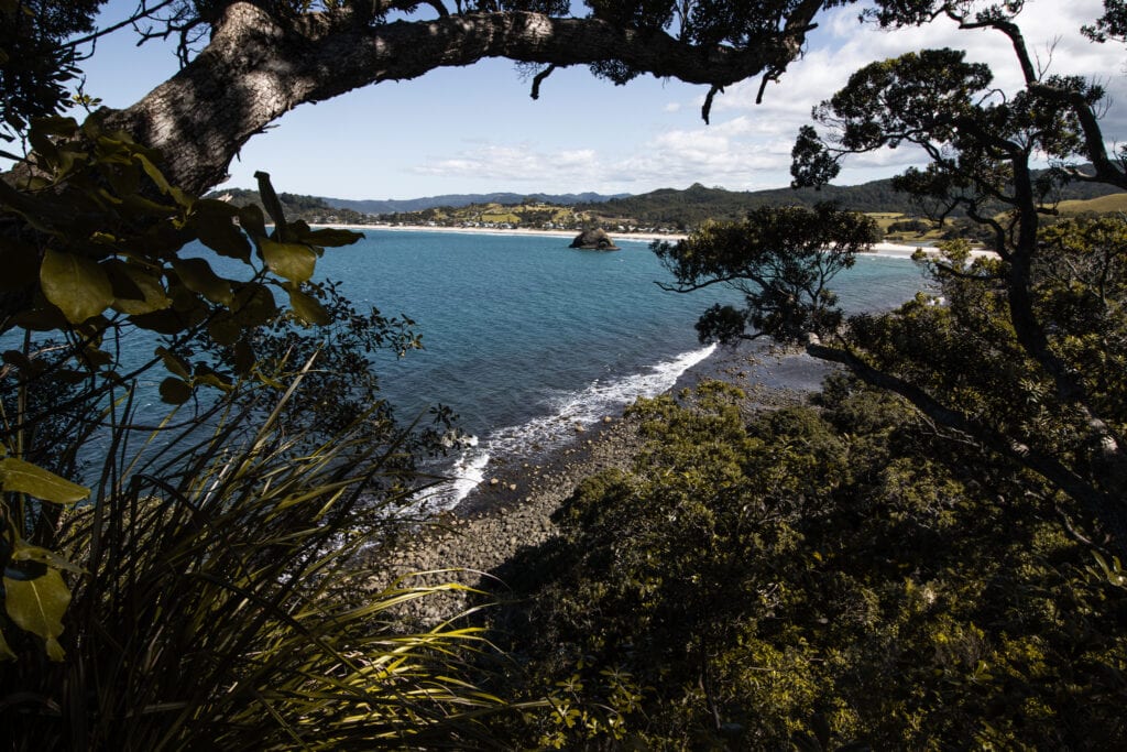 Whangapoua Beach, Coromandel Beaches