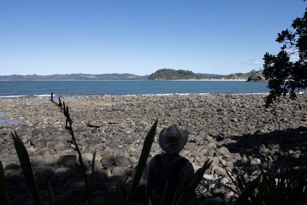 LoveYaGuts Travel 4 of the Best Coromandel Beaches