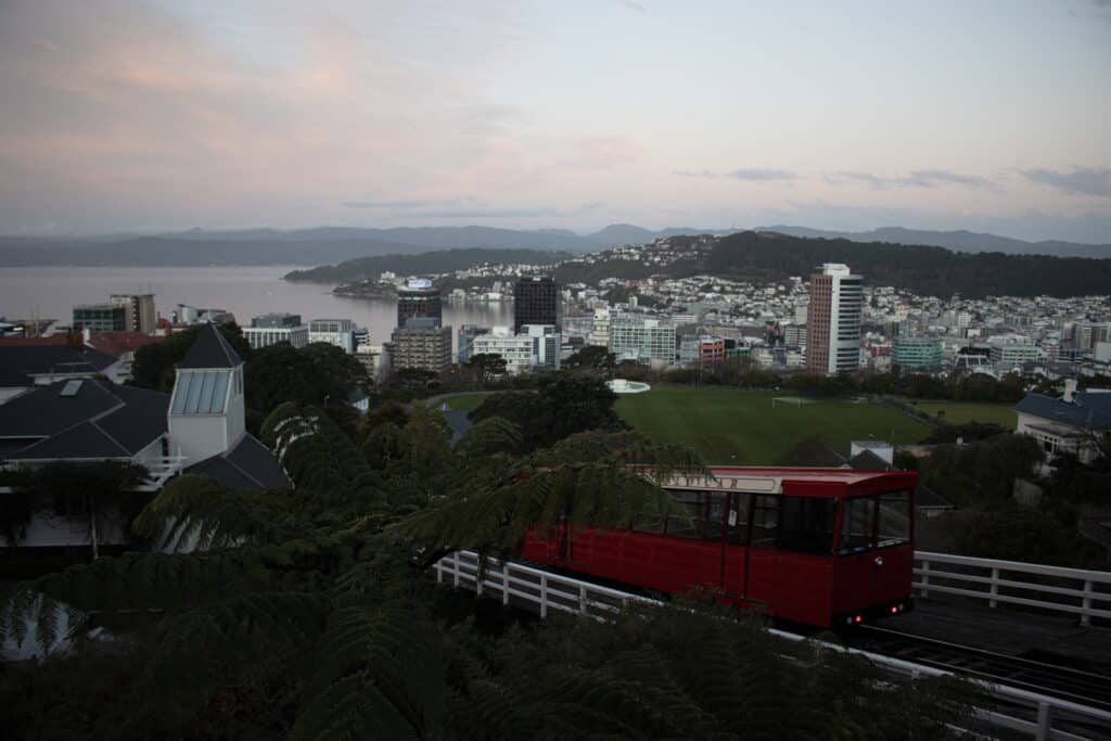 Best views of a Wellington sunset, Wellington Botanical Gardens.