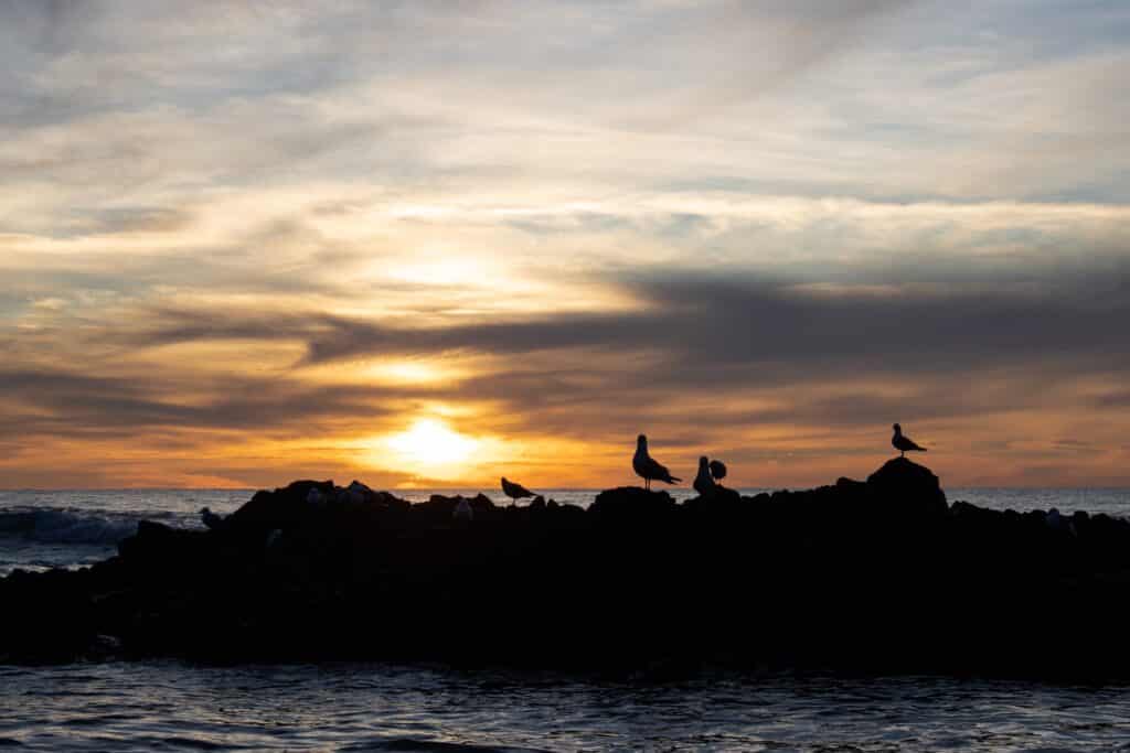 Best sunset in Wellington, Pukerua Bay