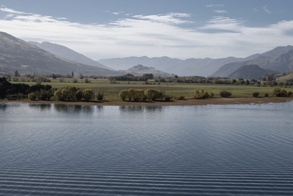 Overlooking Glendhu Bay, Wanaka