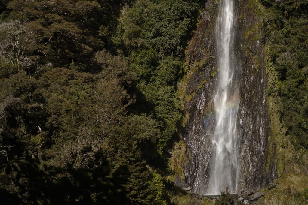Thunder Creek Falls, Wanaka to Franz Josef Road Trip