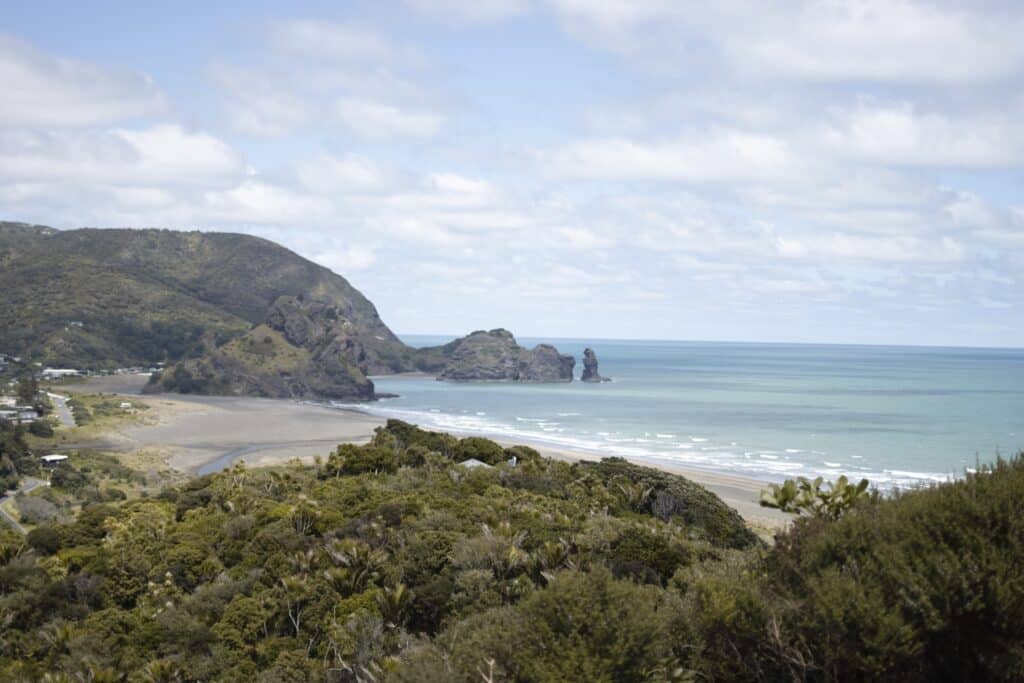 Best West Auckland Walks: Marawhara Track