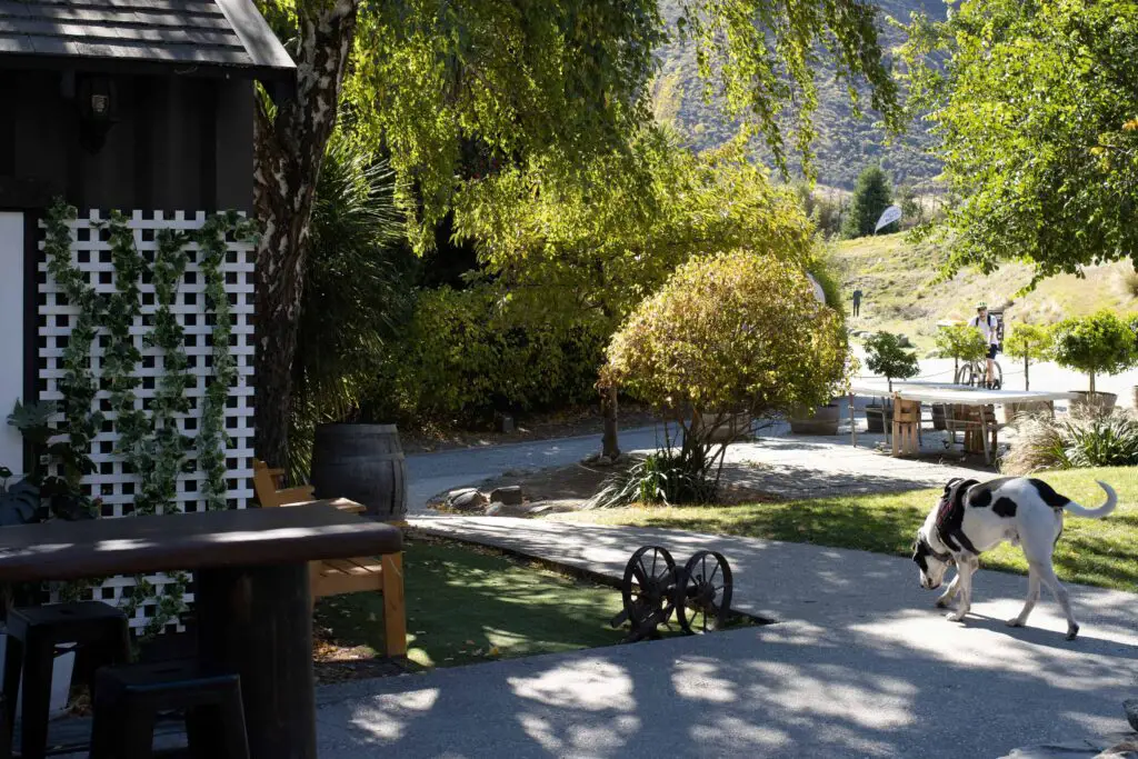 LoveYaGuts Travel Amazing things to do in Arrowtown 2023