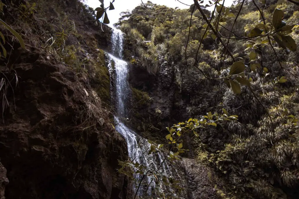 LoveYaGuts Travel Beautiful Kitekite Falls Walk and Piha Beach | Hiking in Auckland