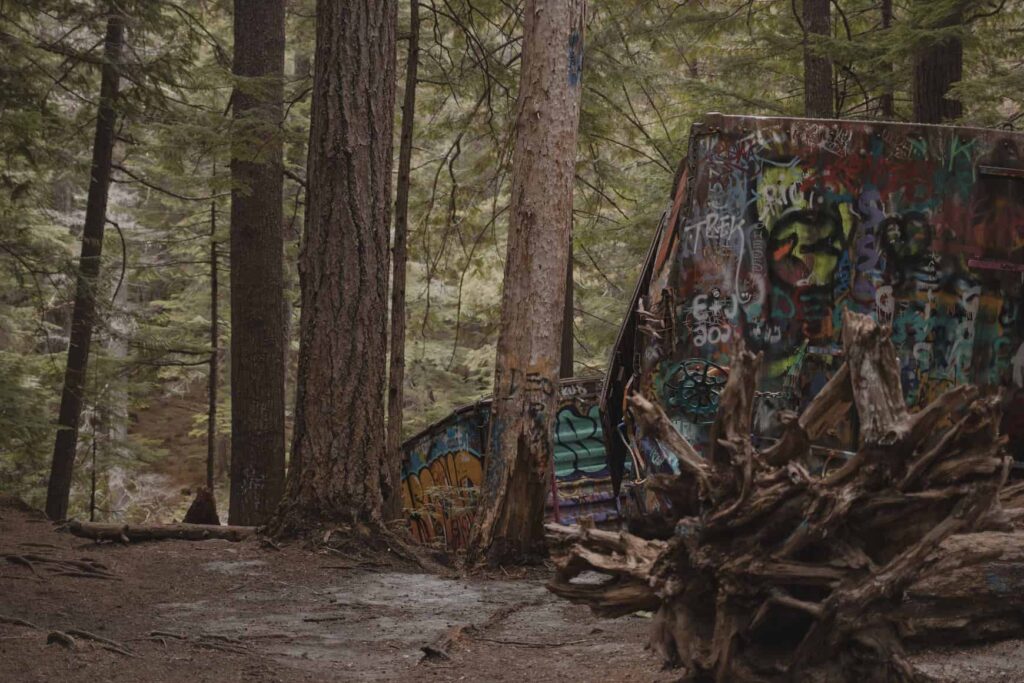 Spray painted carriages from the Whistler train wreck