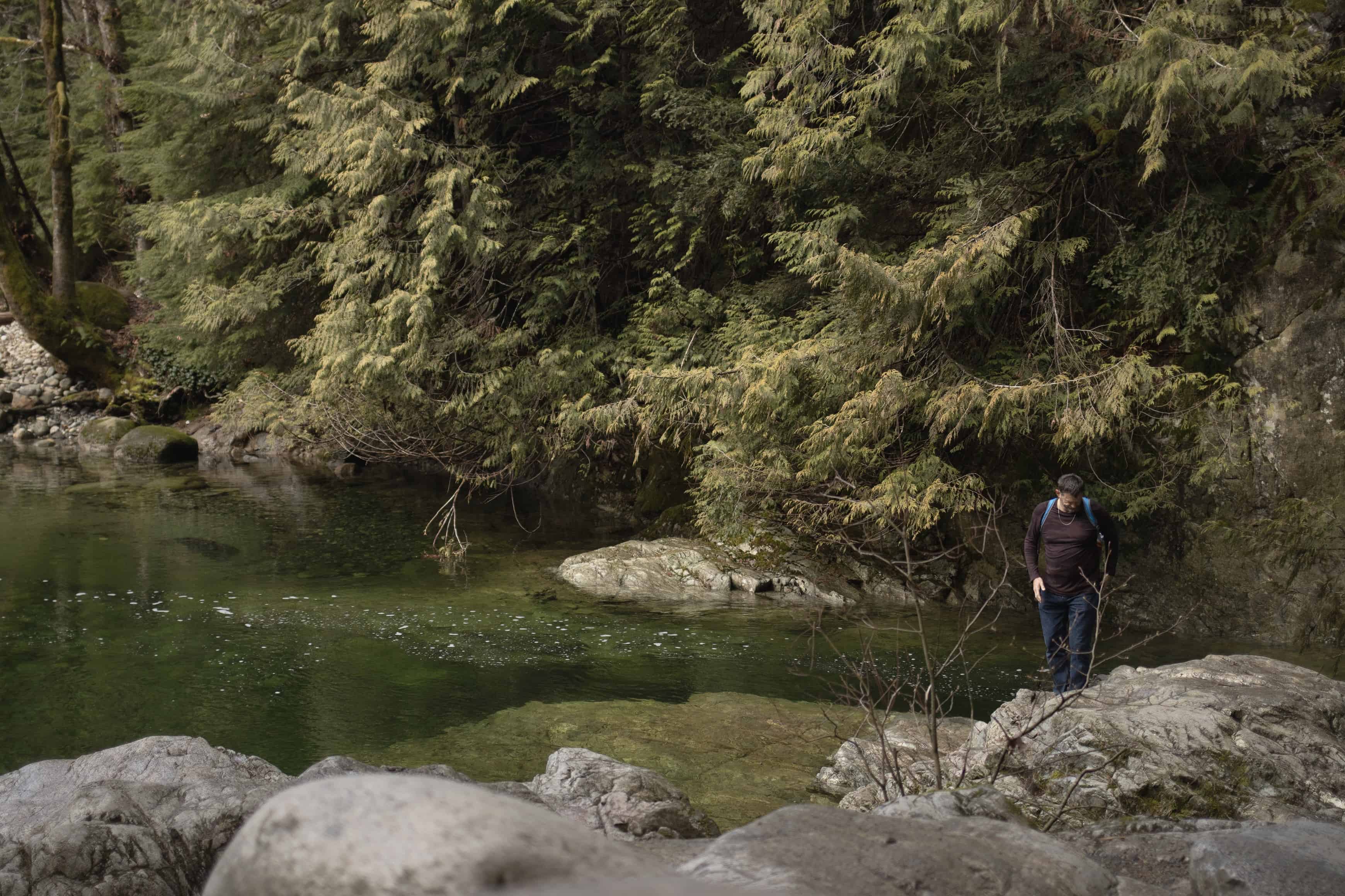 LoveYaGuts Travel Hiking in Vancouver: Lynn Canyon Park