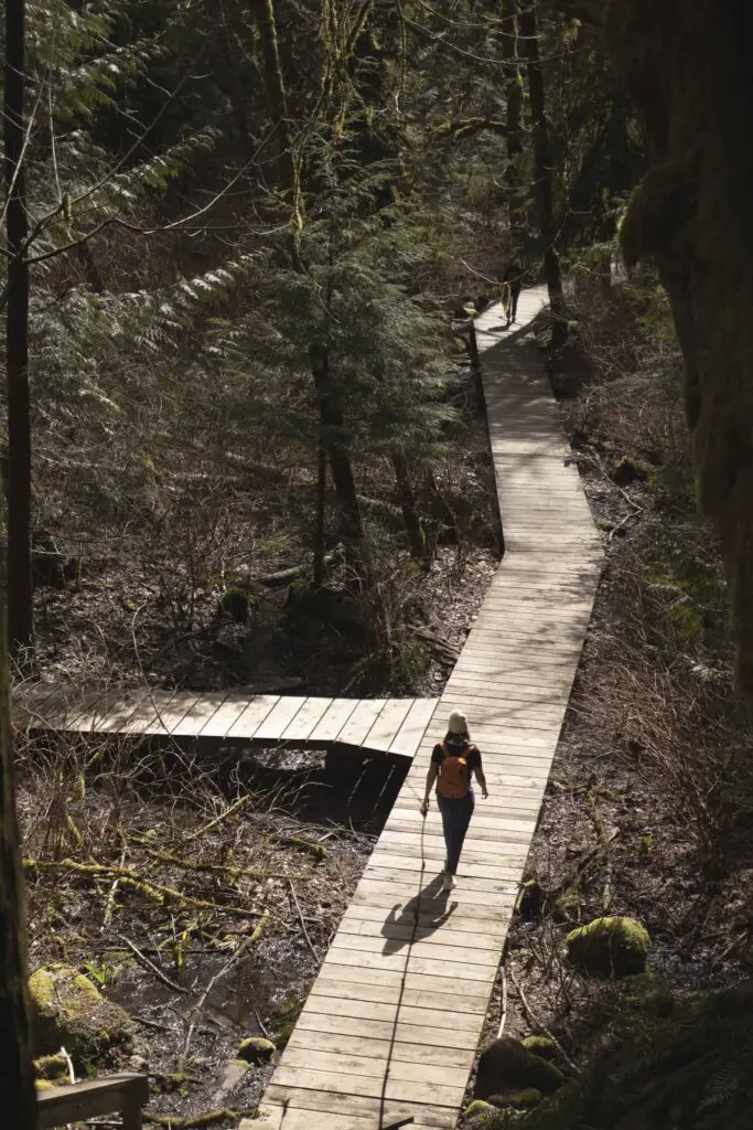 LoveYaGuts Travel Hiking in Vancouver: Lynn Canyon Park