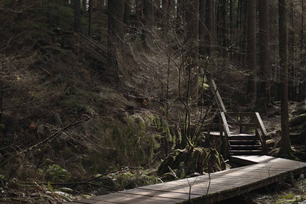 LoveYaGuts Travel The Ultimate Vancouver Travel Guide 2026