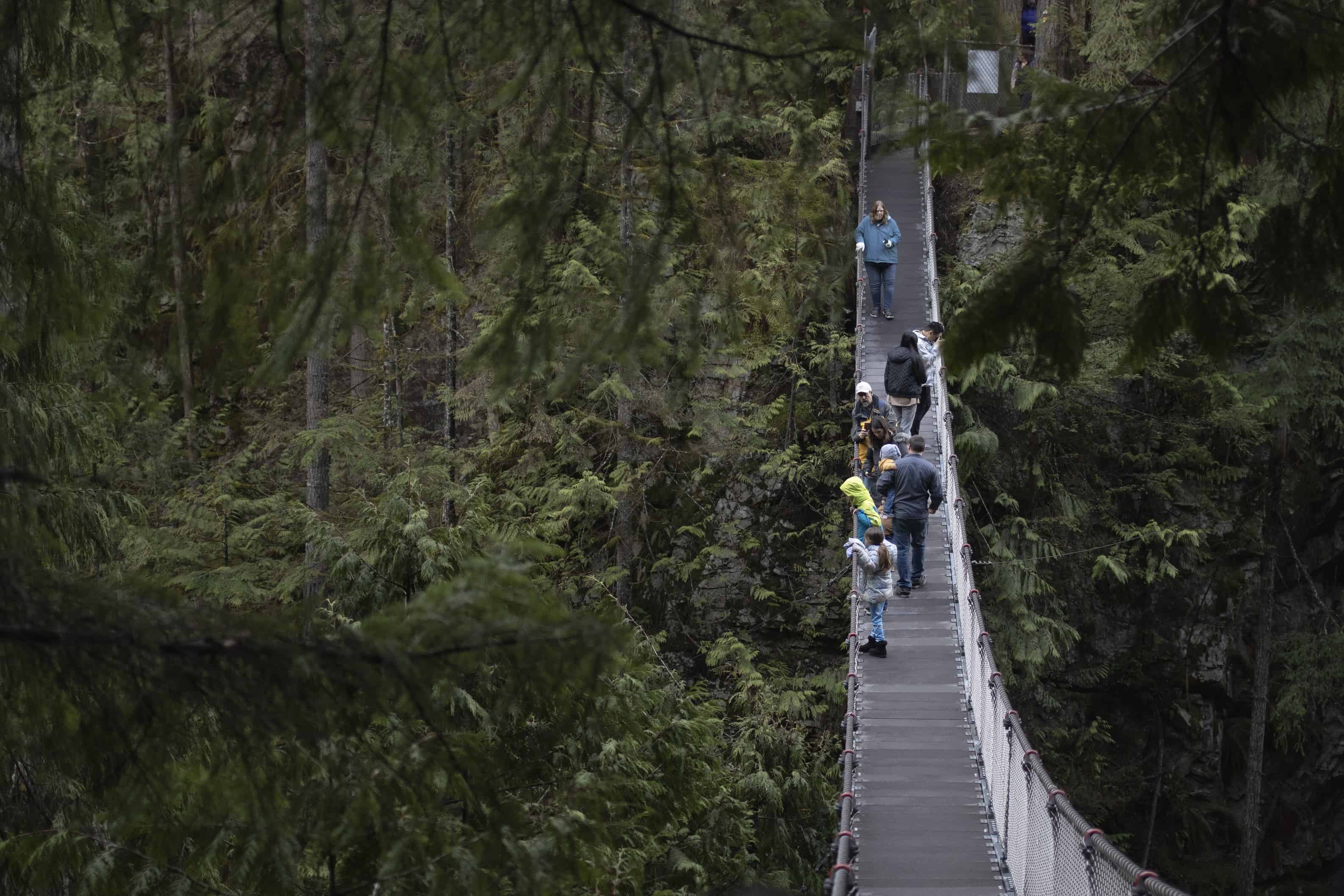 Hiking in Vancouver: Lynn Canyon Park