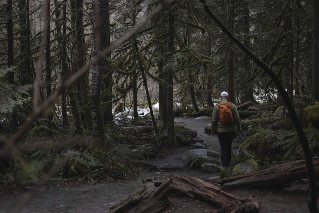 LoveYaGuts Travel Hiking in Vancouver: Lynn Canyon Park