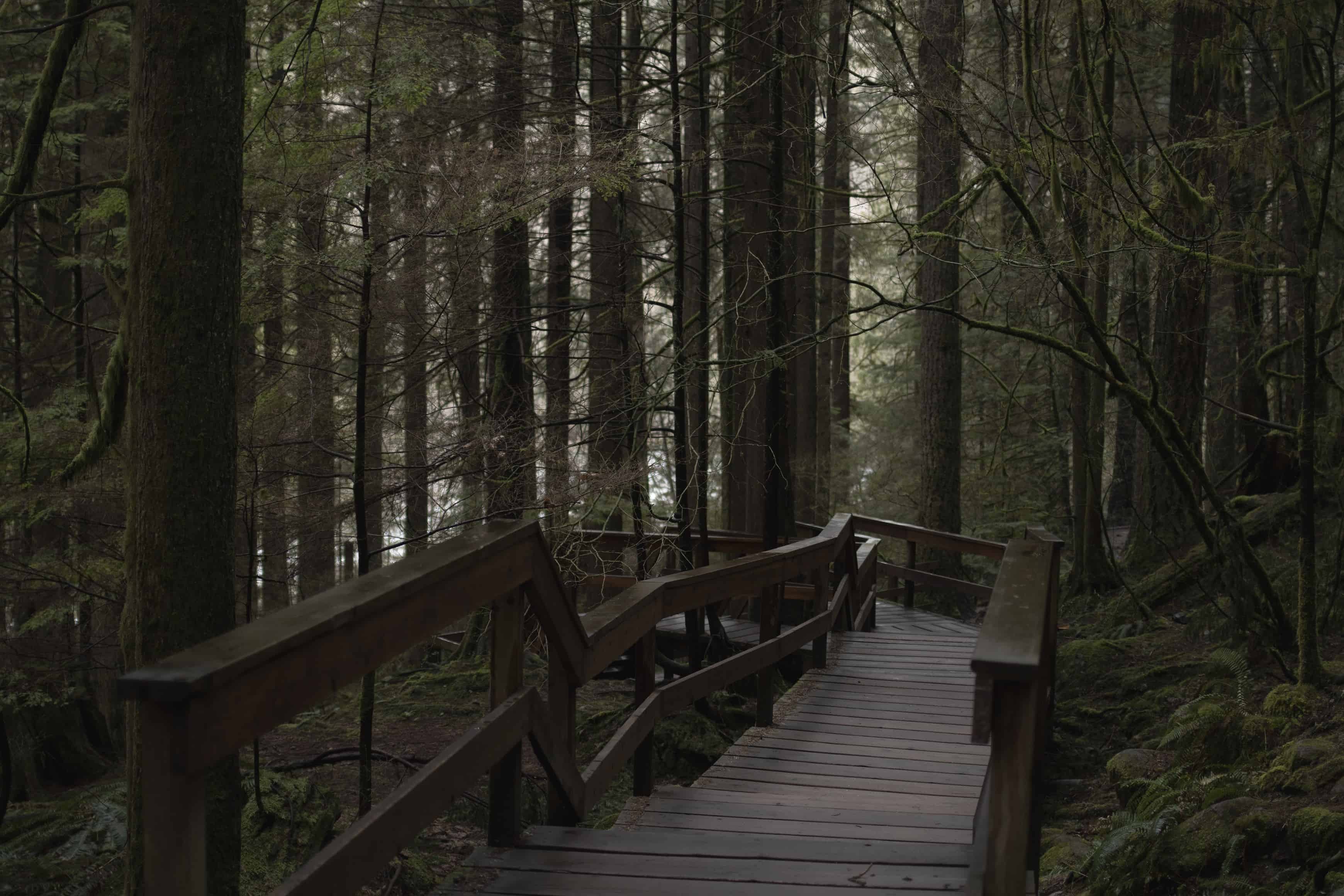 LoveYaGuts Travel Hiking in Vancouver: Lynn Canyon Park