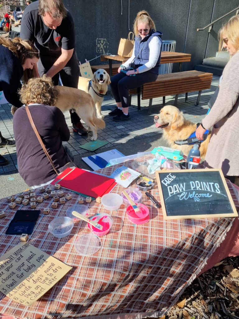 The Best Auckland Sunday Markets