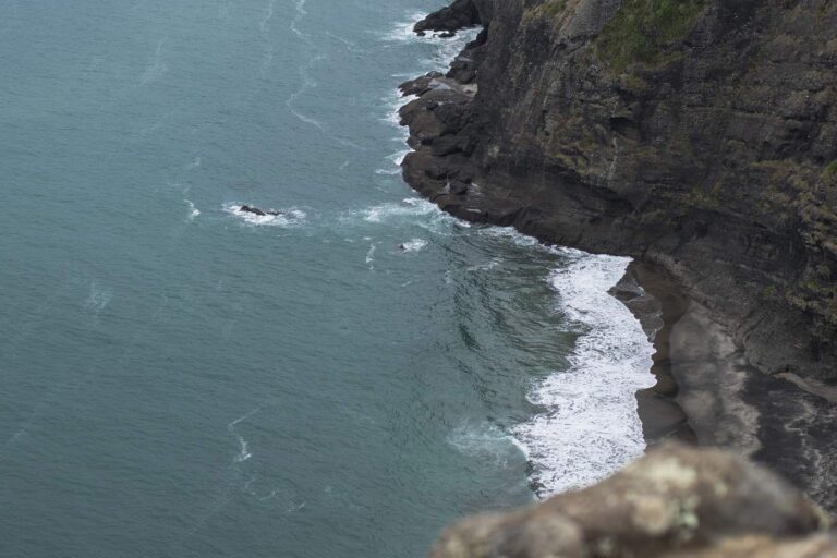 Birds eye view of waves crashing up against cliffs at Mercer Bay Loop bush walk in Auckland