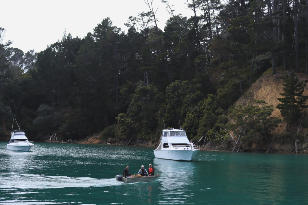 Kawau Island