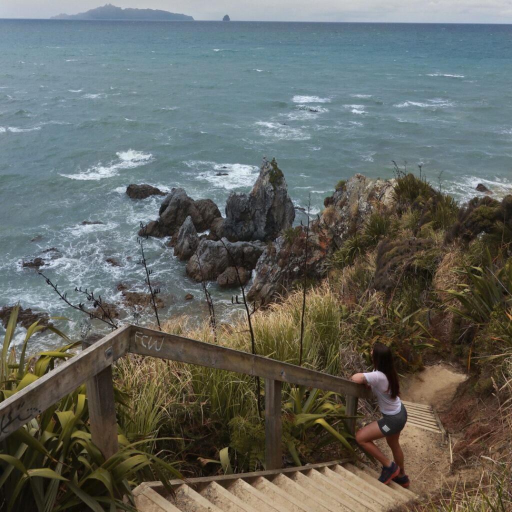 Things to do in Mangawhai 2 LoveYaGuts Travel Things to do in Mangawhai
