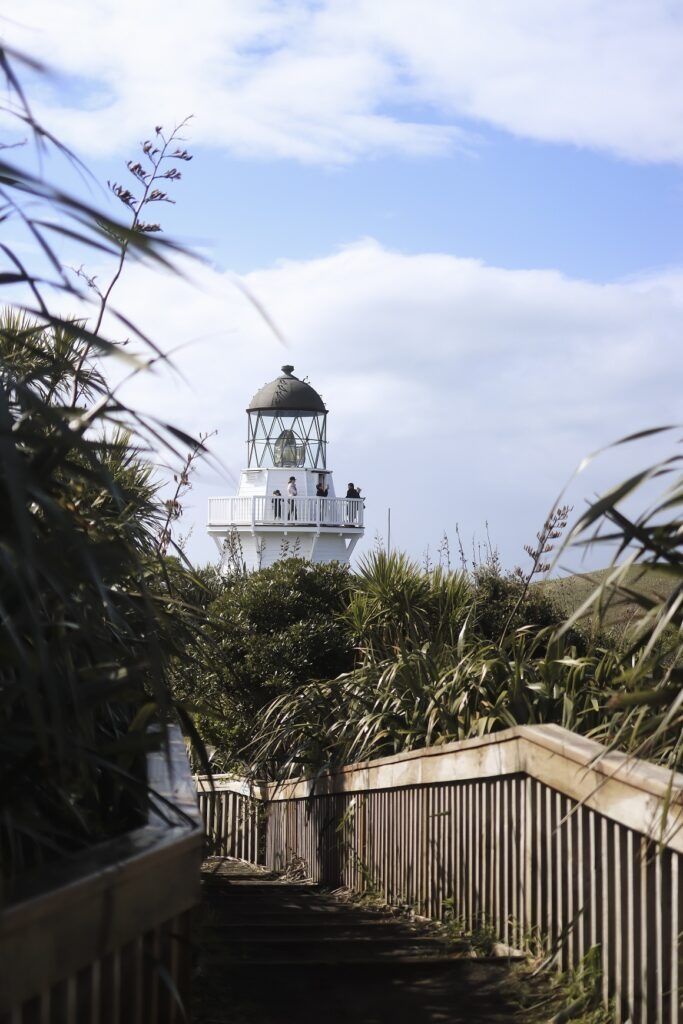 View of Manukau heads lighthouse from the path from the viewpoint