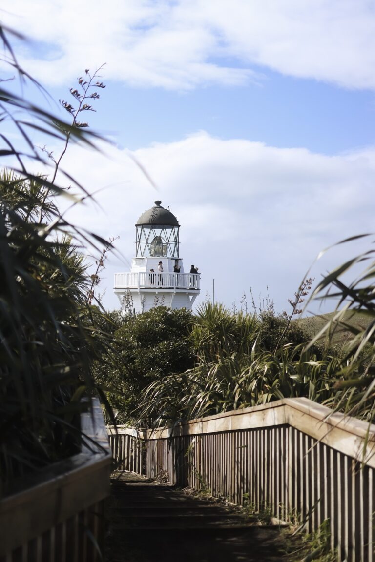 View of Manukau heads lighthouse from the path from the viewpoint