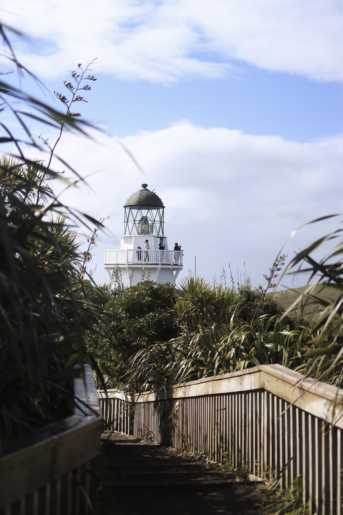 View of Manukau heads lighthouse from the path from the viewpoint