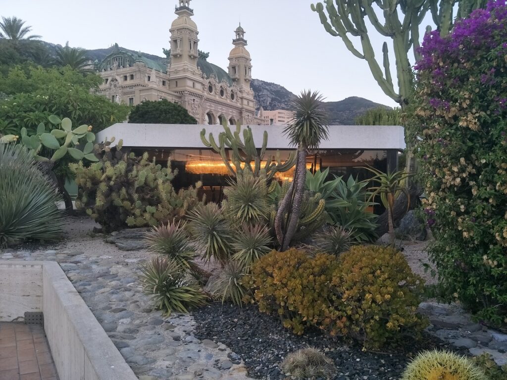 The Best Things to do in Monaco 5 A large garden full of beautiful succulents and plants in Monaco