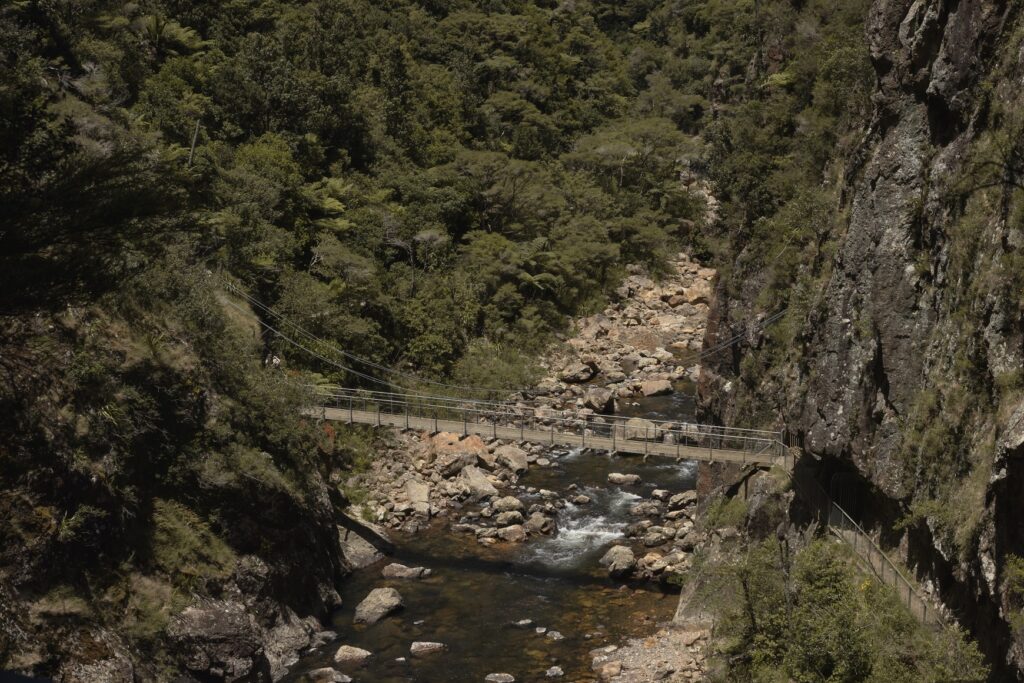 Karangahake Gorge Walks and Day Hikes 5 A birds eye view of the Karangahake gorge suspension bridge