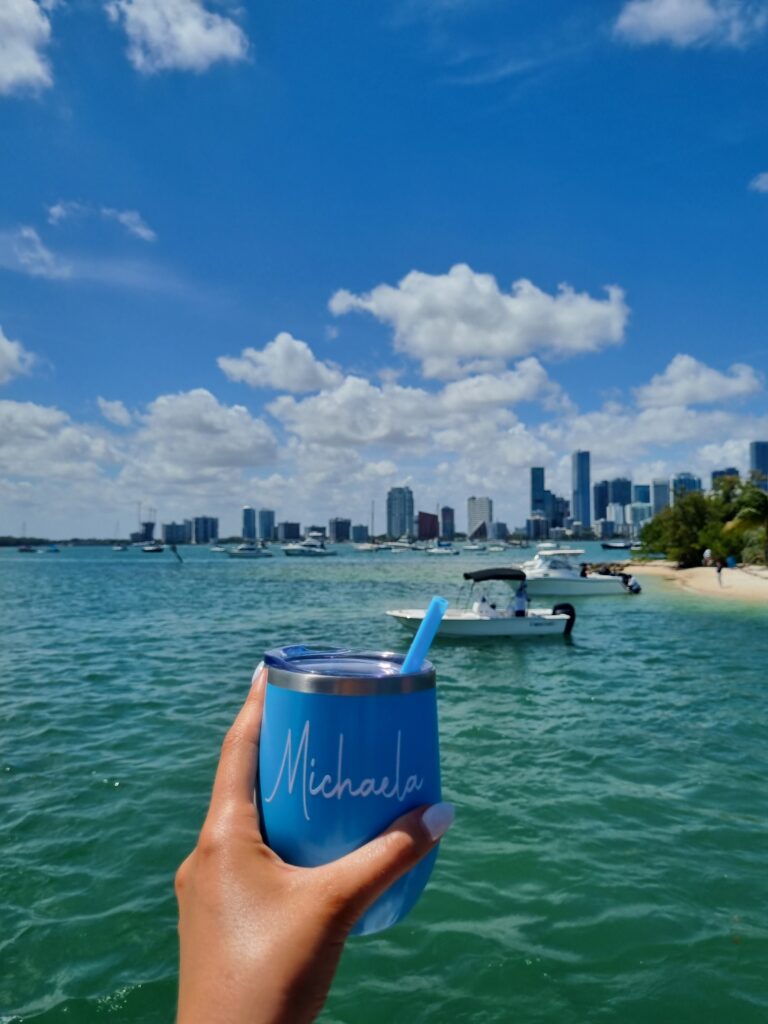 Photo of Miami coastline from Catamaran boat tour