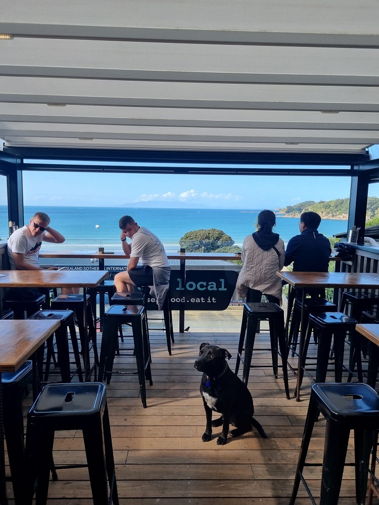 LoveYaGuts Travel The Best Dog Friendly Cafes in Auckland