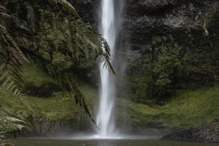 View of Bridal Veil falls in Raglan. The foreground has ferns and the background is of a long stream of the waterfall