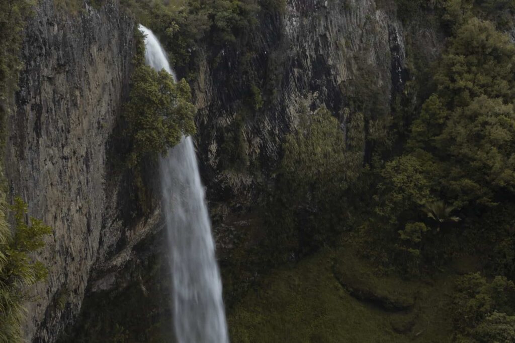 View of Bridal Veil falls in Raglan. The waterfall is surging out of the cliff face, trees and greenery are surrounding the waterfall