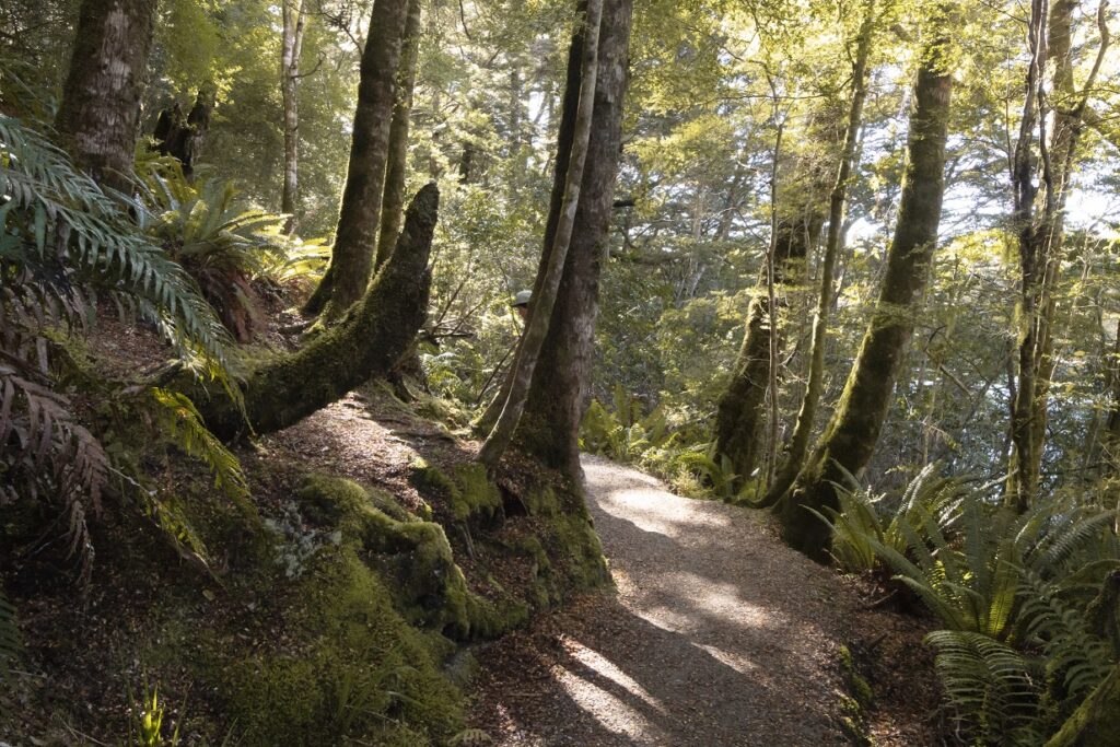 Kepler Track Day Hike: