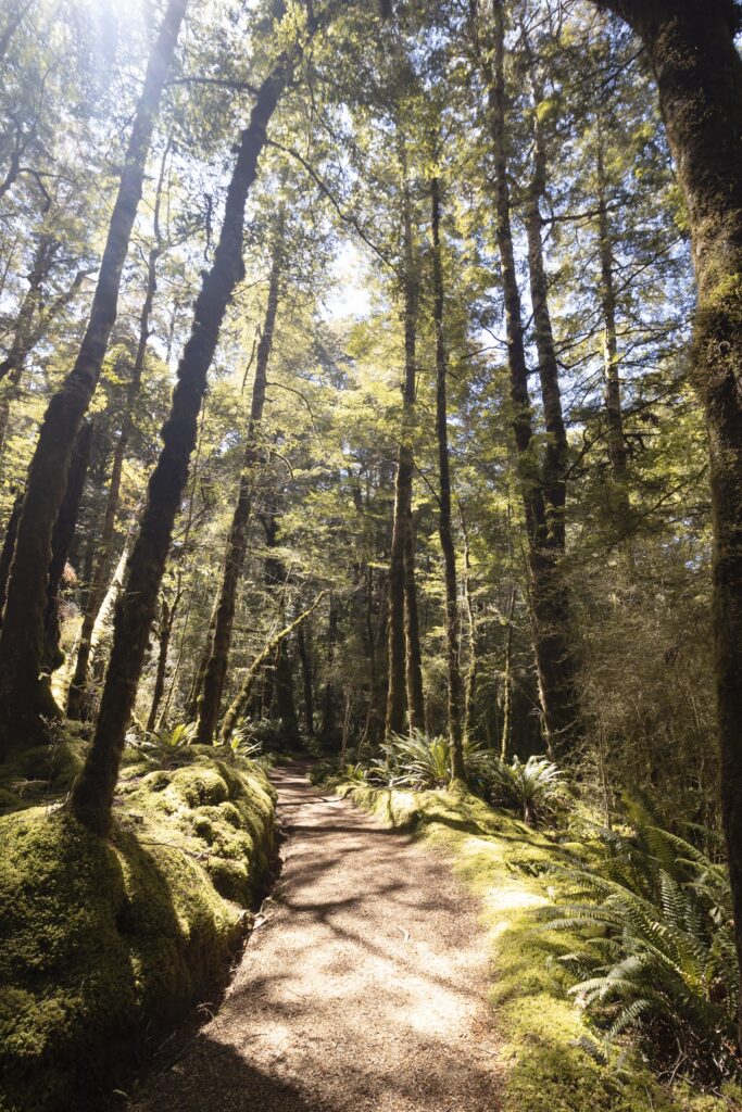 Kepler track Itinerary