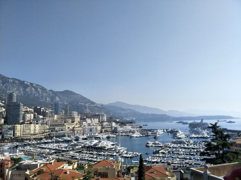 A view of Monaco which shows the port with hundreds of yachts and tall buildings in the distance.