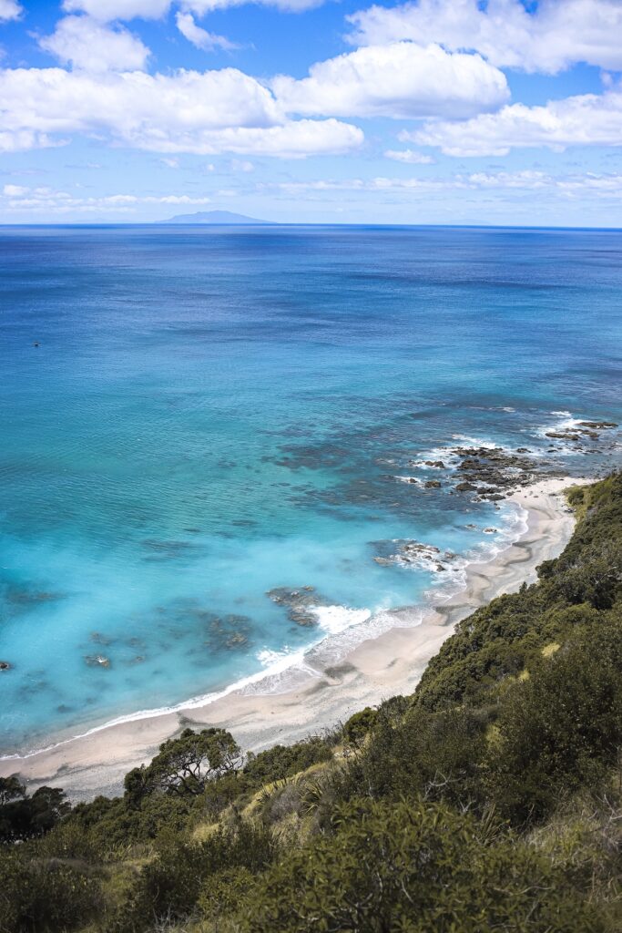 Weekend getaways from Auckland: Photo of the Mangawhai Coastal Walk showing the beaches along the bottom of the coastal walk