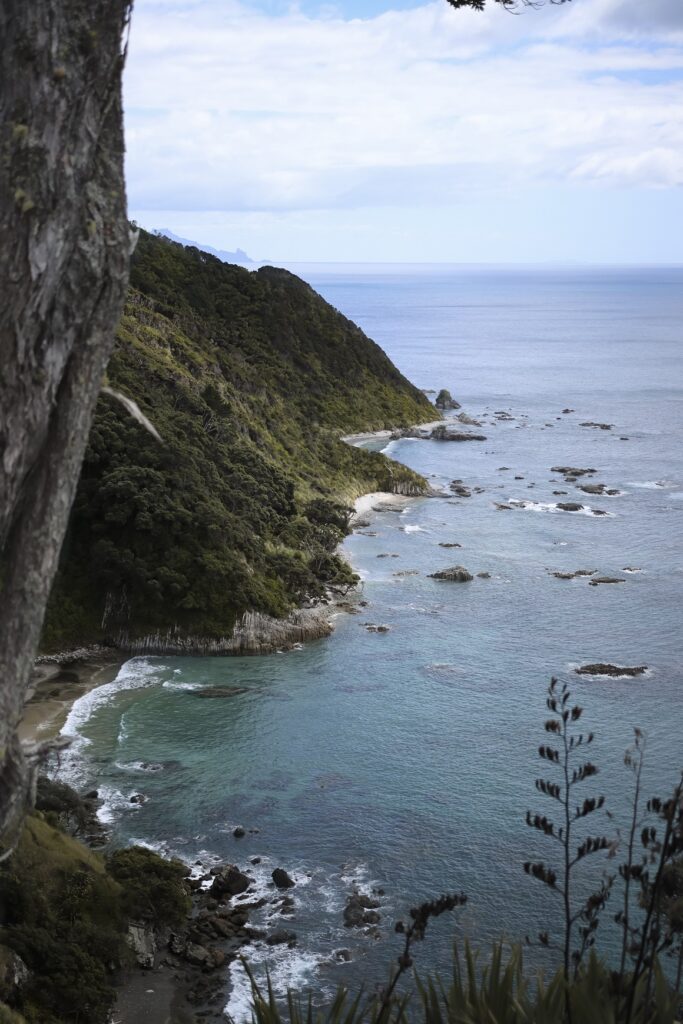 Weekend getaways from Auckland: Photo of the Mangawhai Coastal Walk showing the cliffs dropping into the ocean
