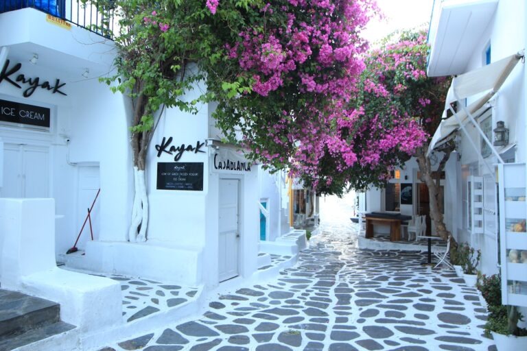 A small street in Little Venice in Mykonos. The buildings are all painted white, a green tree with purple flowers hangs over the white and black cobblestone walkway between the buildings.