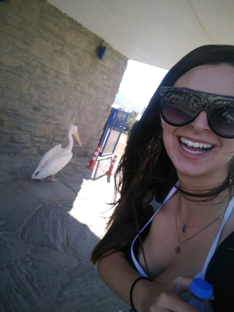A female taking a selfie with Petros the Pelican in the background on Mykonos Island in Greece