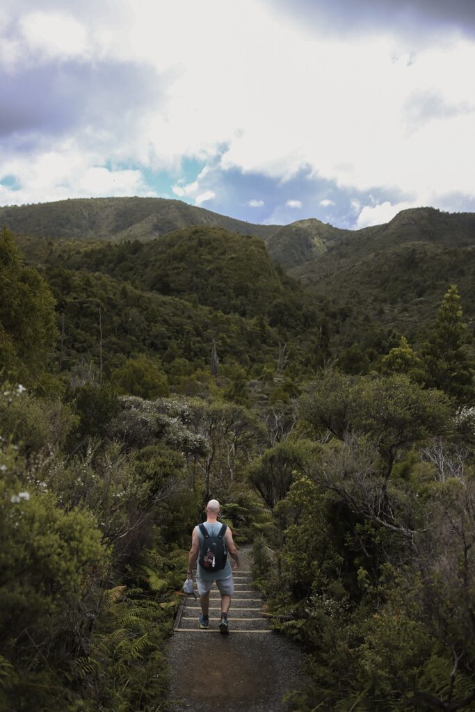 Ultimate 10 Day North Island Itinerary A man is walking away from the camera and down a path into native forest during the Pinnacles Hike in Coromandel.