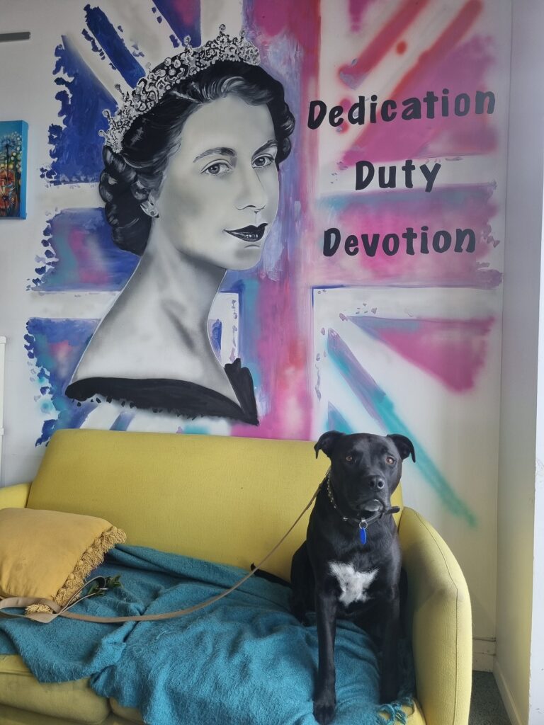 Best Cafes in Auckland. Bark & Brew in Browns Bay is one of the best dog-friendly cafes in Auckland. This image shows a black dog sitting on a couch inside a cafe, behind him is an image of the Queen painted on the wall with 'Dedication, Duty, Devotion' written beside it