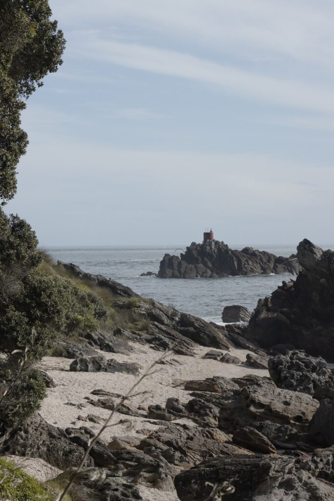 5 Fun Things to do in Mt Maunganui A photo of the beach from Mt Maunganui base track