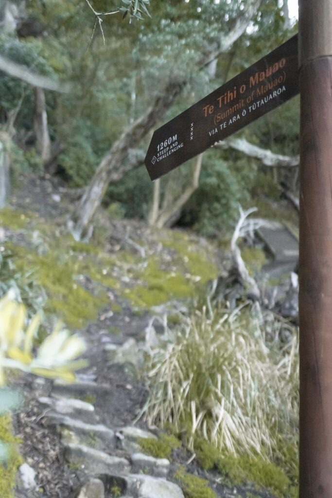 5 Fun Things to do in Mt Maunganui Mount Maunganui hiking trail sign post pointing towards a Steep and Challenging route.